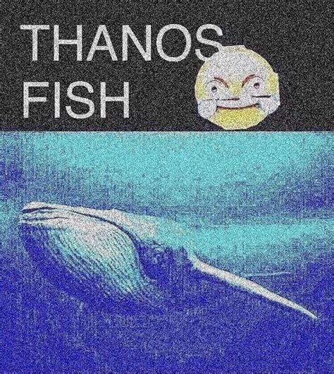 Thanos Fish Rmemes