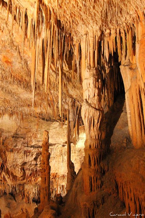 .but i just kinda get the feeling that if all this is allowed to continue, i don't think it's gonna end in a good way. ―count dankula. Cuevas en Mallorca: visitar las cuevas del Drach | Caracol ...