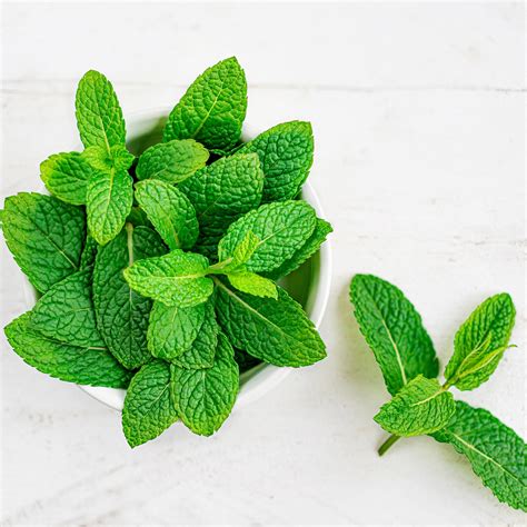 Peppermint Oil For Skin Benefits And How To Use Juicy Chemistry