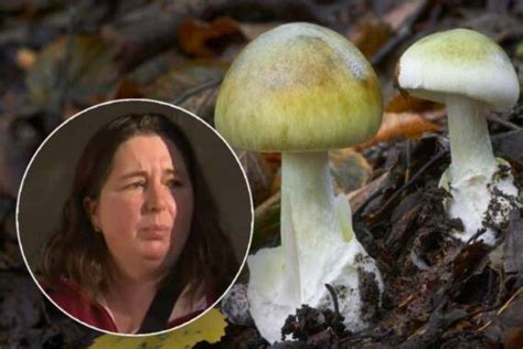 Police Detective Discusses The Latest On The Fatal Poison Mushroom Arrest