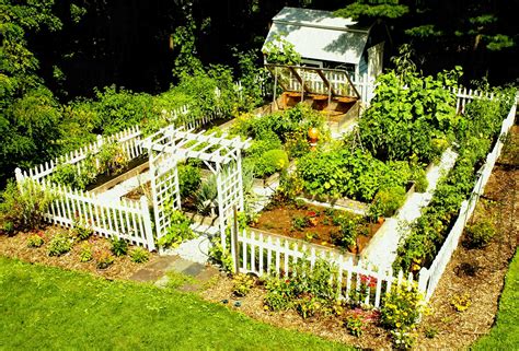 Famous Vegetable Garden Design Ideas Backyard 2023