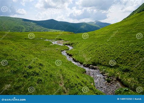 Mountain Stream On The Green Meadow Stock Photo Image Of Landscape