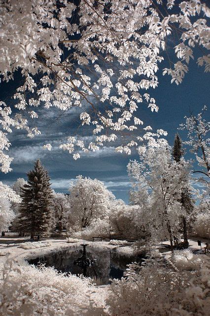 Winter Szenen I Love Winter Winter Magic Winter White Winter