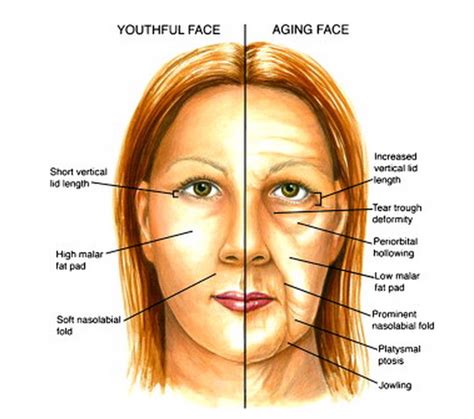 5 Ways Our Faces Age