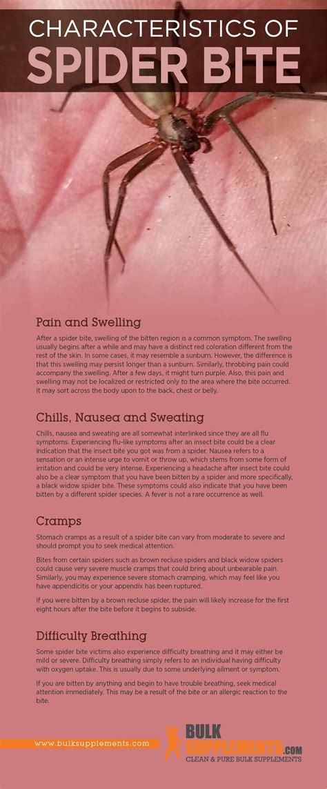 Tablo Read Spider Bite Characteristics Causes And Treatment By