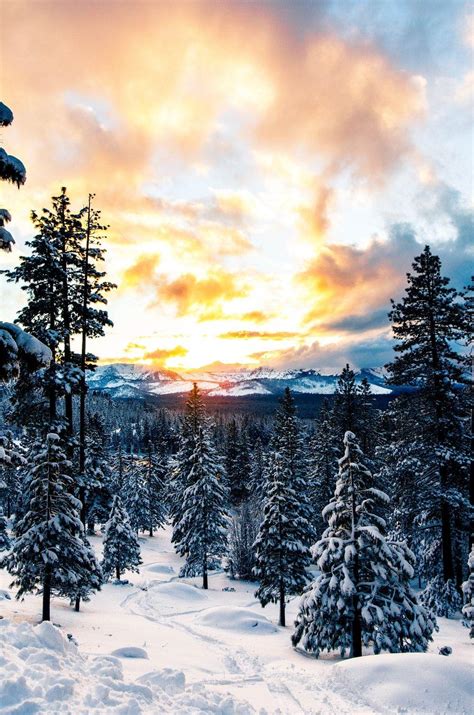 Lake Tahoe Winter Wallpapers Top Free Lake Tahoe Winter Backgrounds