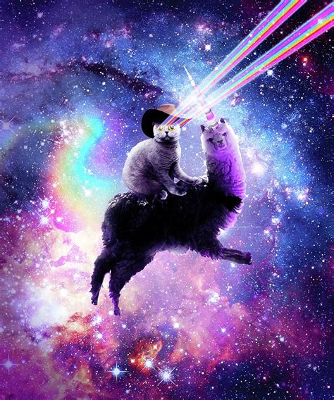 Laser Eyes Outer Space Cat Riding On Llama Unicorn Digital Art By
