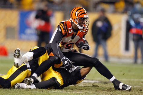 What Happened To Chris Henry Complete Story