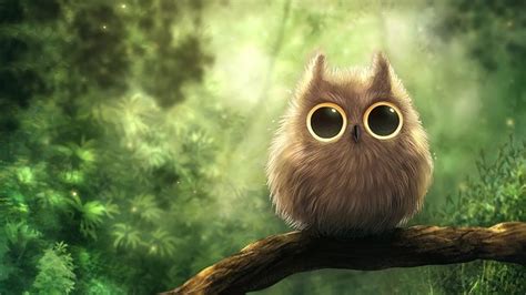 27 Cute Owl Wallpapers Wallpaperboat