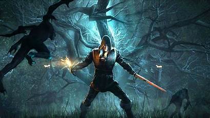 Witcher Wild Hunt Warrior Geralt Forest 4k