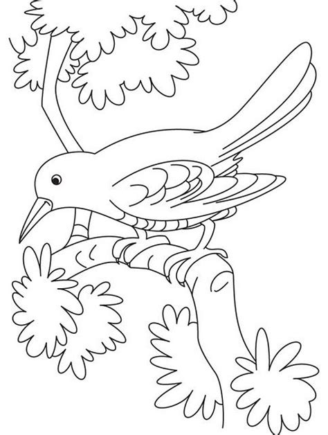 Pin By I T On Coloring Animals Halaman Mewarnai Gambar Burung Burung