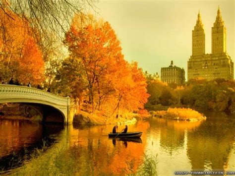 40 Autumn In Nyc Wallpaper