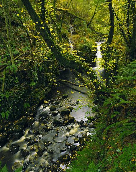 Glenariff Co Antrim Ireland Waterfall Photograph By The Irish Image