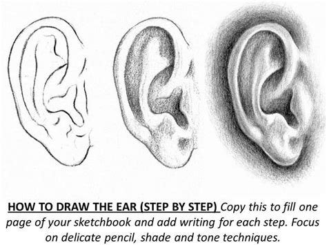 This will be the base of the ears. how to draw ear step by step worksheet | Kids Art | Pinterest