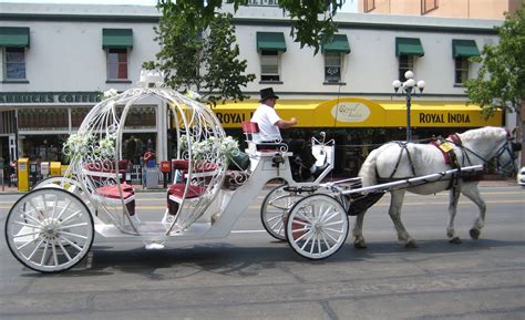 Horse Drawn Carriage Fairy Tale Dreams Can Come Come Carriages Are