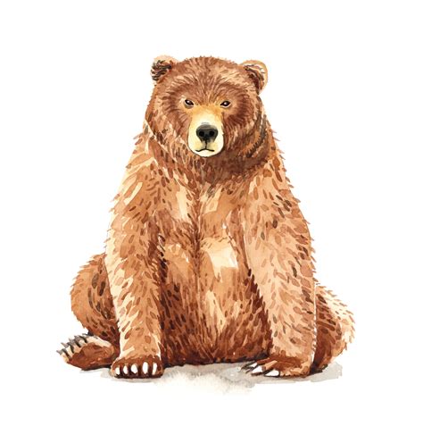 Watercolor Portrait Of Brown Bear Sitting 669910 Vector Art At Vecteezy