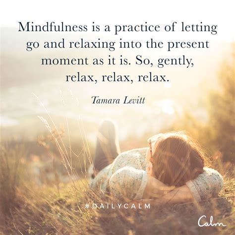 Dailycalm Calm With Images Calm Quotes Positive Thinking Tips