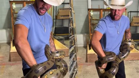 Anaconda Bites Man Trying To Show It Off Multiple Times In Viral Video Internet Is Horrified