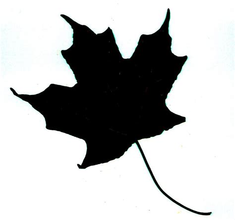 We did not find results for: Identify a Tree With Leaf Silhouettes