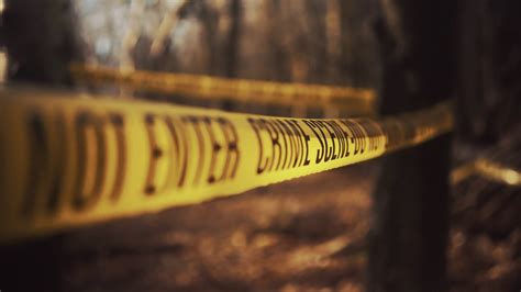 Crime Scene In Woods Taped Cornered Off Area Stock Footage Sbv