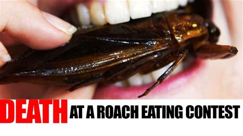 Man Dies At Florida Cockroach Eating Contest Youtube