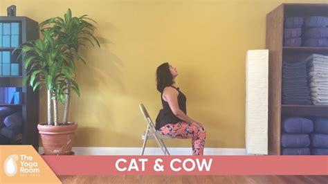 Chair Yoga How To Do Cat And Cow Poses Youtube