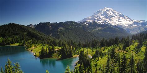 12 Reasons To Visit Mount Rainier National Park Outdoor