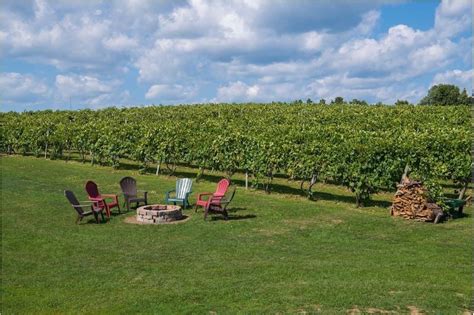 The Long Island Wineries How To Visit And Have An Amazing Time