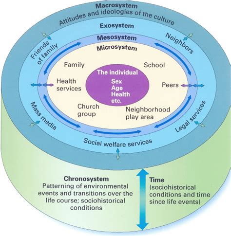 Bronfenbrenners Ecological Theory Diagram Quizlet