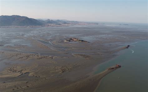 Unesco Adds Korean Tidal Flats To World Heritage List Neaspecorg