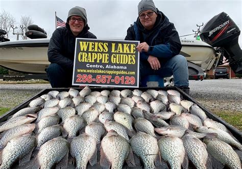 Weiss Lake Crappie Guides Photo Gallery Photo Gallery