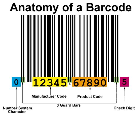 How To Read Barcode Manually