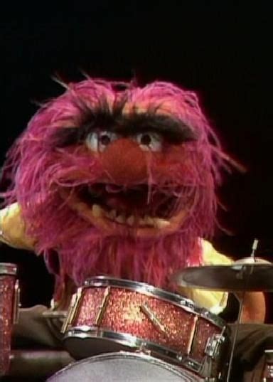 Greatest Drummer Of All Time Animal Muppet Muppets Jim Henson