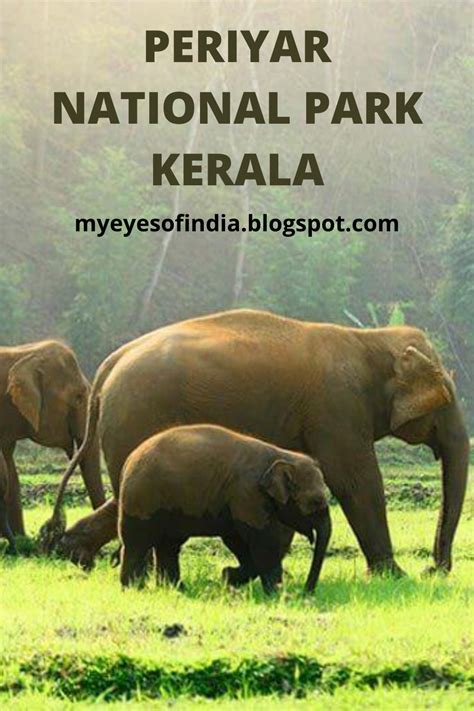 Periyar National Park Kerala Entry Fees Timings My Eyes Of India