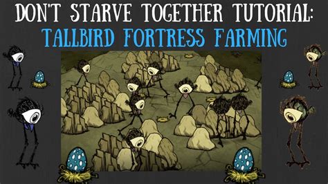 How to make your farm. Don't Starve Together Guide: Tallbird Fortress Farming - YouTube