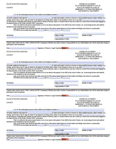 Free South Carolina Power Of Attorney Forms In Fillable Pdf 9 Types