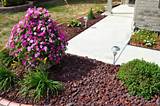 Lava Rock Landscaping Pros Cons Pictures