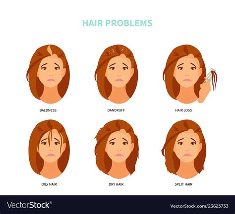 Hair Problems Royalty Free Vector Image Vectorstock
