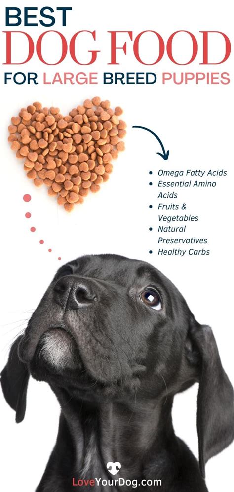 Adults only (not for puppies). Best Puppy Food For Large Breed Dogs: Ratings & Reviews ...
