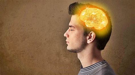 Como Mantener Tu Cerebro Sano Y La Memoria Aguda