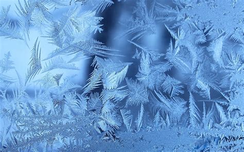 Schneeflocken Illustration Frost Muster Eis Hd Hintergrundbild