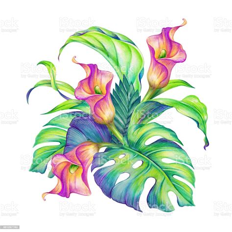 Abstract Tropical Leaves And Flowers Jungle Plants