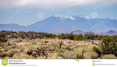Landscape With Humphreys Peak Tallest In Arizona Stock Photo Image Of