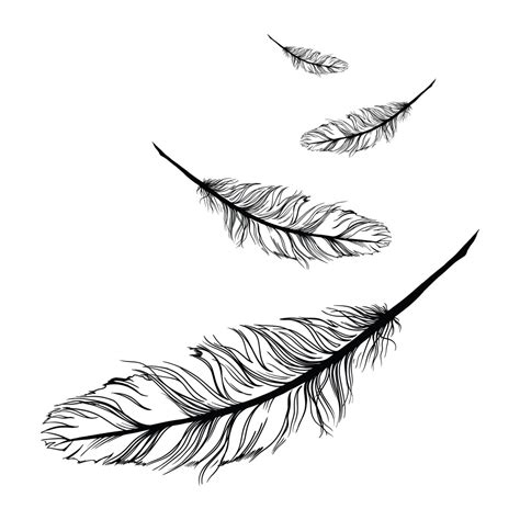 Feather Line Drawing At Explore Collection Of