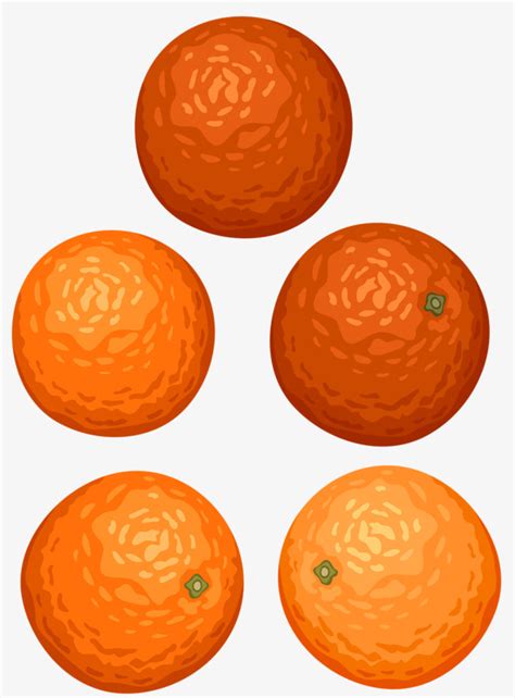 5 Oranges 5 Fruit Orange Round Png Transparent Image And Clipart For