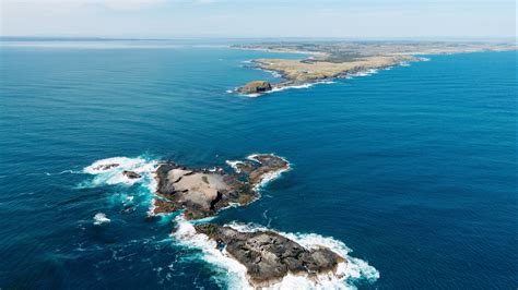 Helicopter Scenic Flight Seal Rocks Tour Phillip Island Victoria