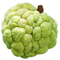 181 free images of apple pie. Custard Apple Picture | Fruits Learning for Kids