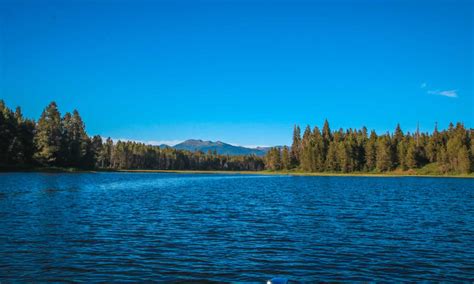 The 11 Biggest Lakes In Idaho A Z Animals