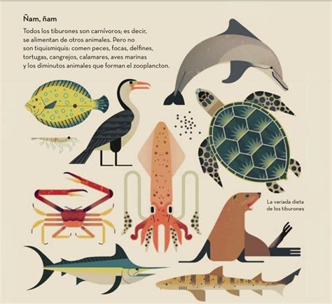 Resumen De Art Culos Que Comen Los Tiburones Actualizado Recientemente Brbikes Es