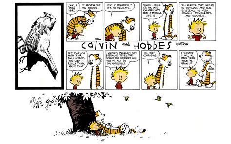 Read Online Calvin And Hobbes Comic Issue 10